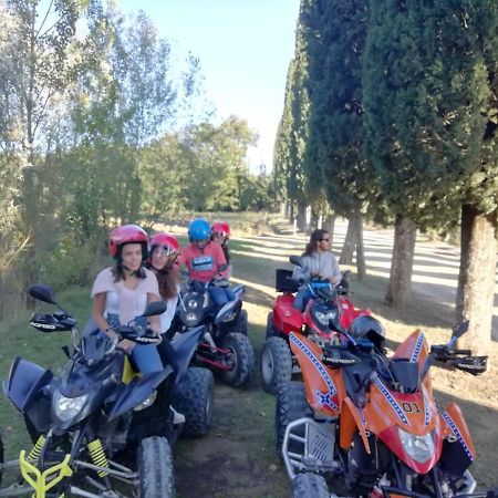Appartamento Crete Senesi Castelnuovo Berardenga Zewnętrze zdjęcie