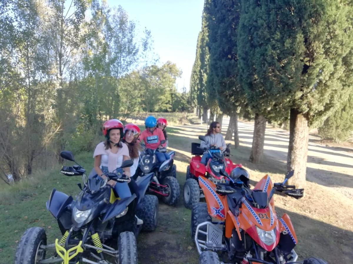 Appartamento Crete Senesi Castelnuovo Berardenga Zewnętrze zdjęcie