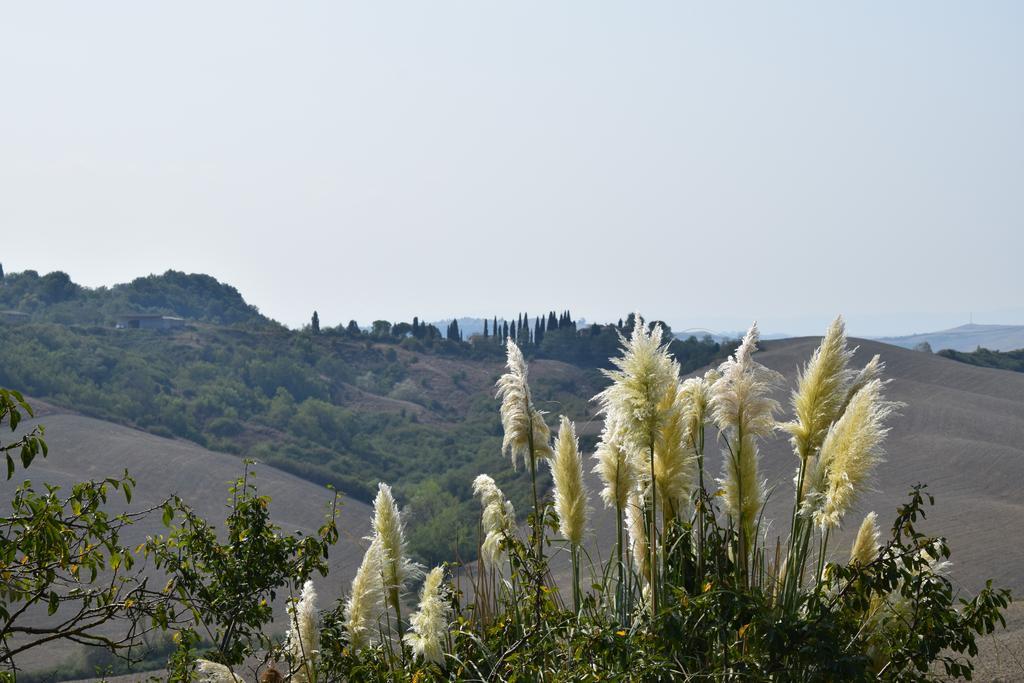 Appartamento Crete Senesi Castelnuovo Berardenga Zewnętrze zdjęcie