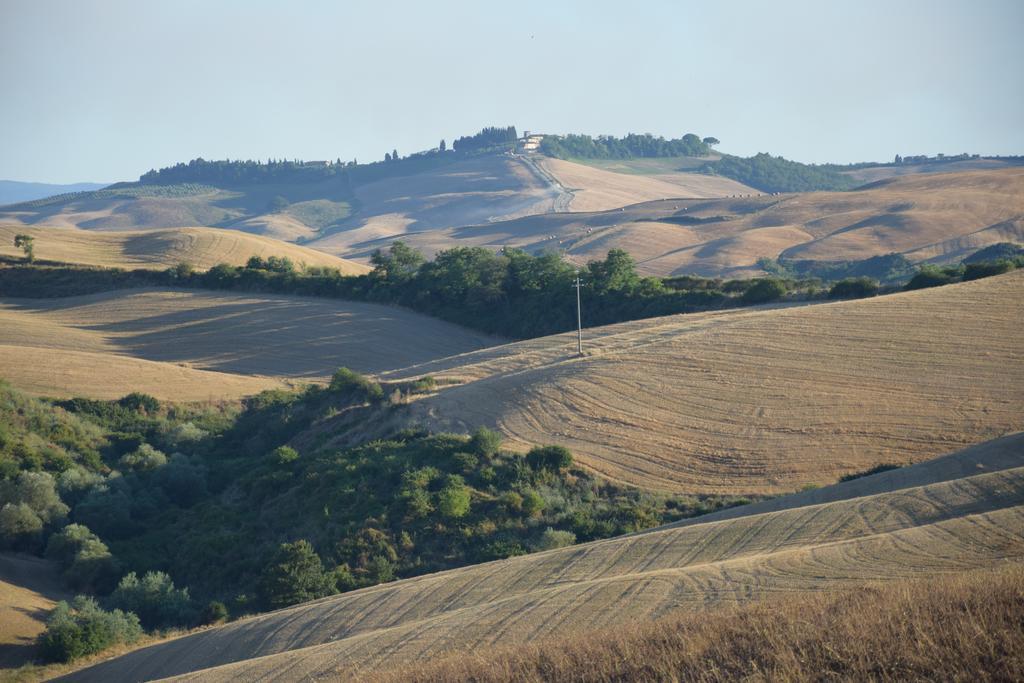 Appartamento Crete Senesi Castelnuovo Berardenga Zewnętrze zdjęcie