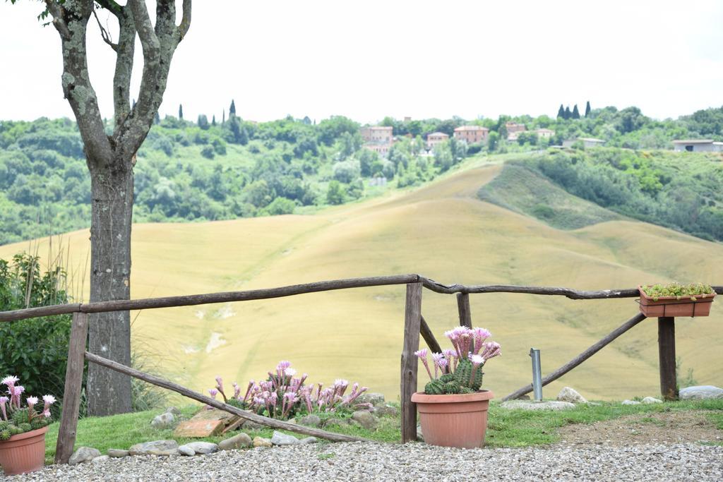 Appartamento Crete Senesi Castelnuovo Berardenga Zewnętrze zdjęcie