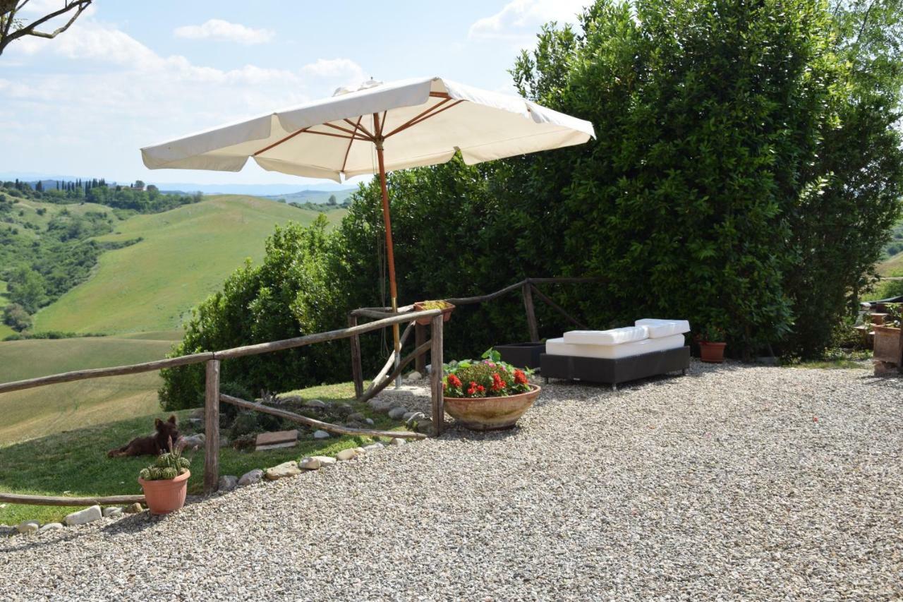 Appartamento Crete Senesi Castelnuovo Berardenga Zewnętrze zdjęcie