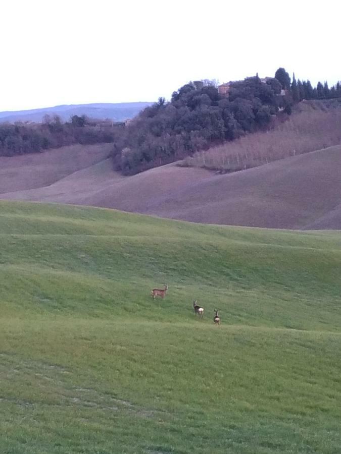 Appartamento Crete Senesi Castelnuovo Berardenga Zewnętrze zdjęcie