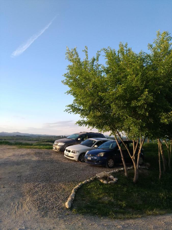 Appartamento Crete Senesi Castelnuovo Berardenga Zewnętrze zdjęcie