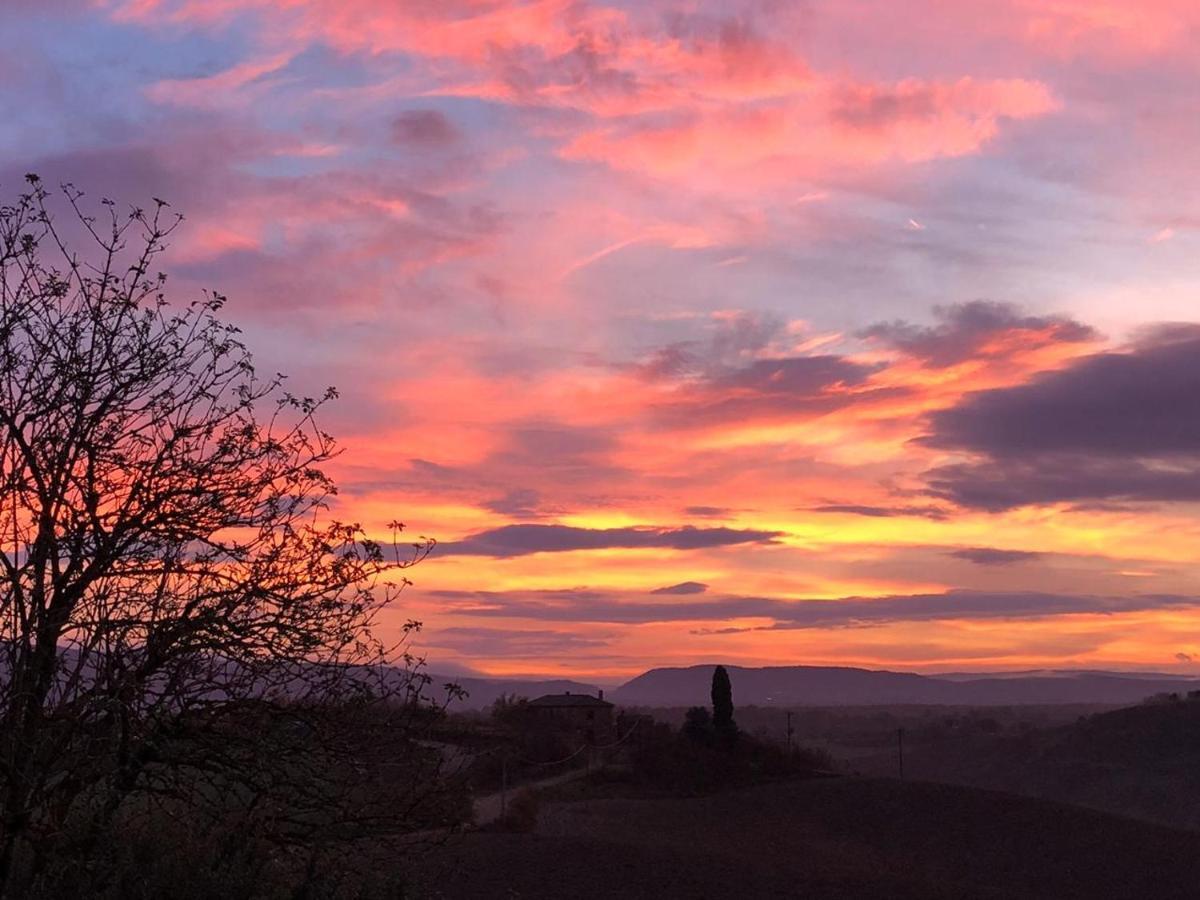 Appartamento Crete Senesi Castelnuovo Berardenga Zewnętrze zdjęcie